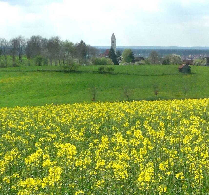 Blick vom Osterkreuz